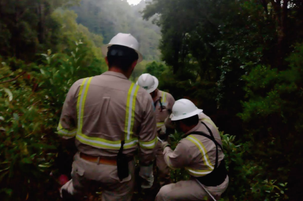 Restablece CFE suministro eléctrico en 63% de usuarios afectados por Agatha