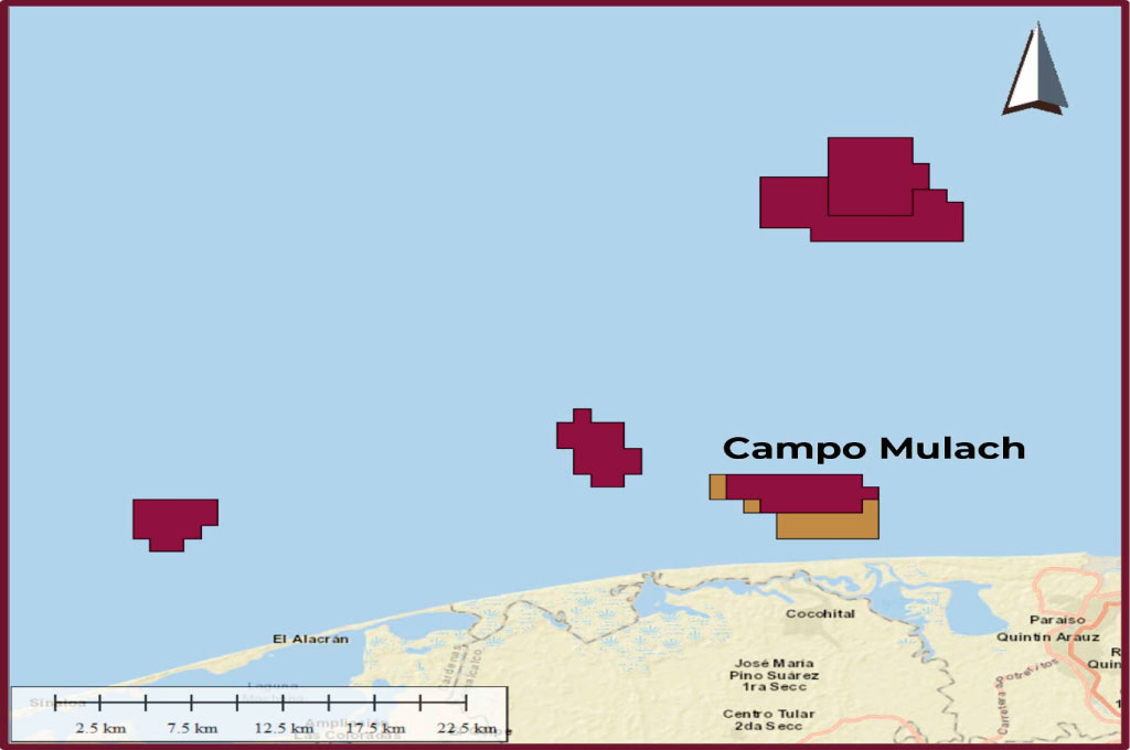 Invertirá Pemex 1,486 mdd en asignación del campo Mulach