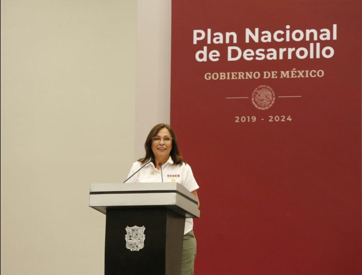 Nahle pide apoyo a sociedad y privados para fortalecer sector energético