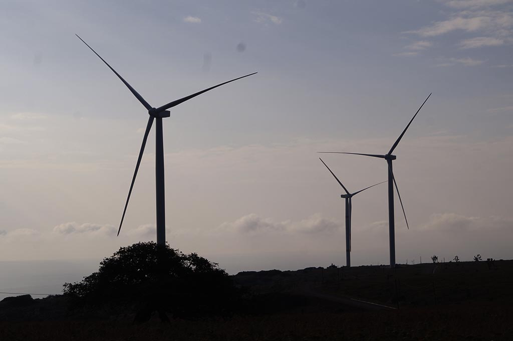 Central Gunaa Sicarú no afecta a ningún ejido o tierra comunal: EDF