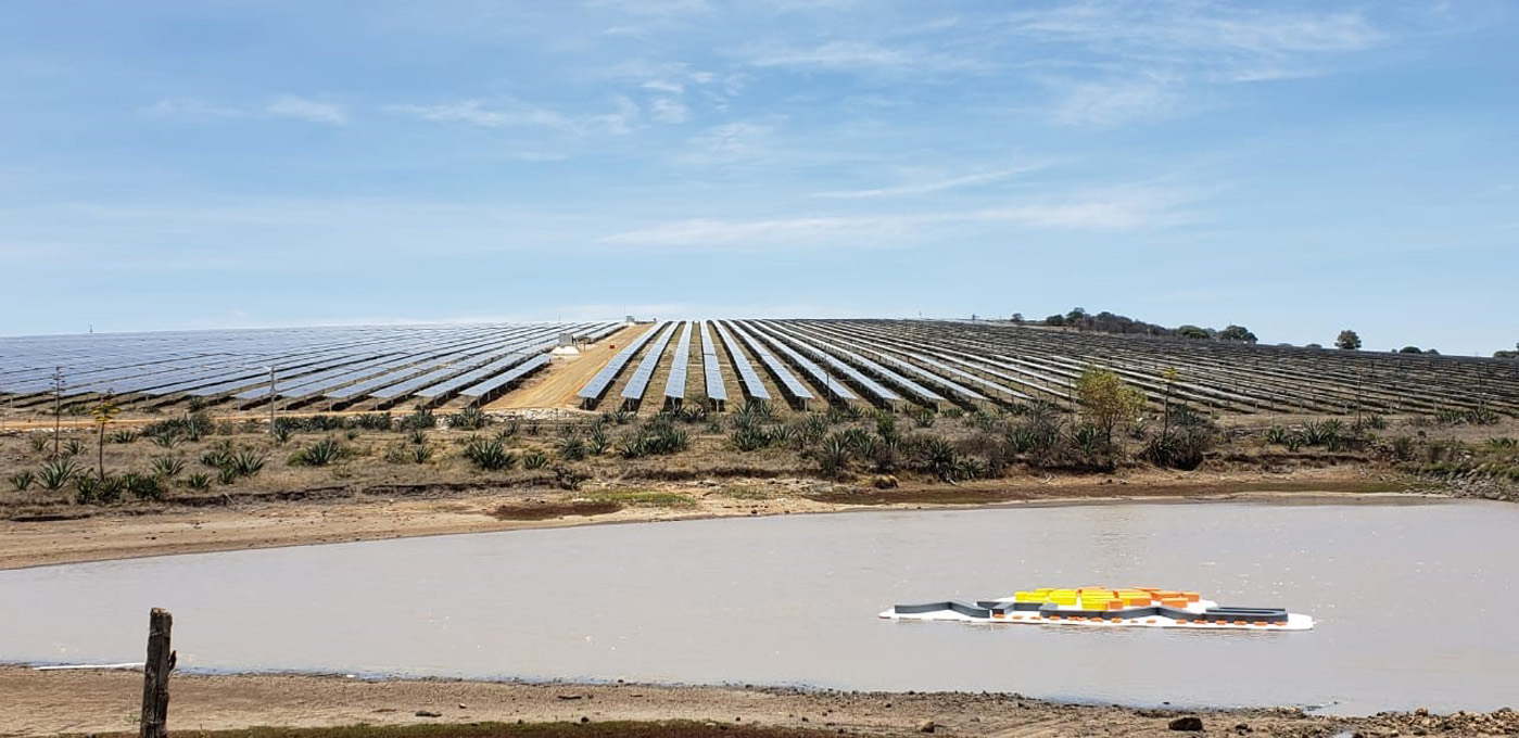 Atlas Renewable Energy pone en marcha el parque solar “El Guajiro”