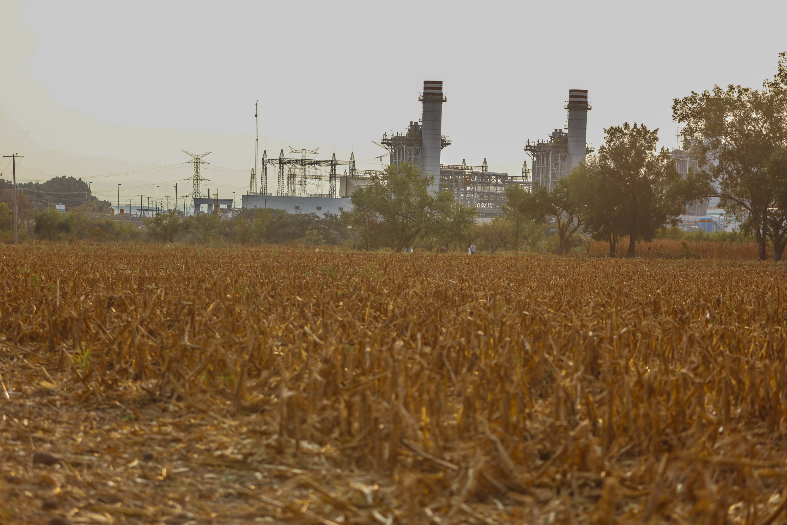 Termoeléctrica de Huexca aprobada por 59.5% de los consultados