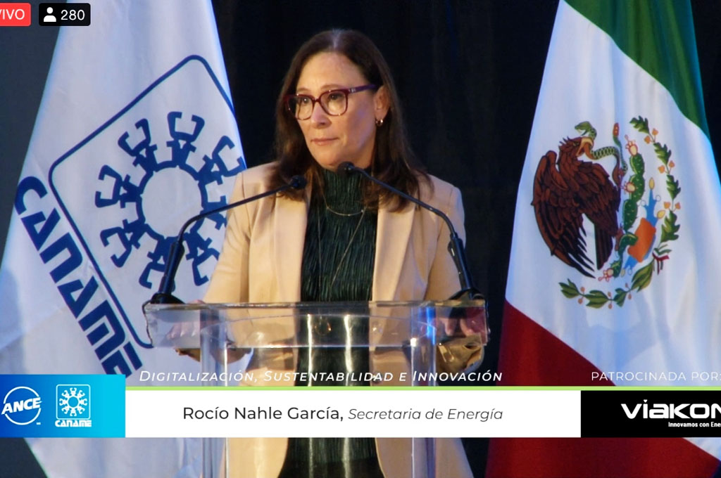 Pusimos orden en el mercado energético: Nahle