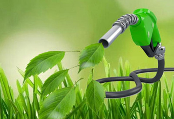 Piden impulsar uso de bioetanol para combustibles en México