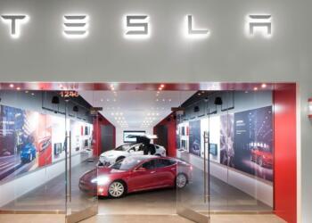 Tesla llegará a Nuevo León después de las elecciones en EU: Samuel García