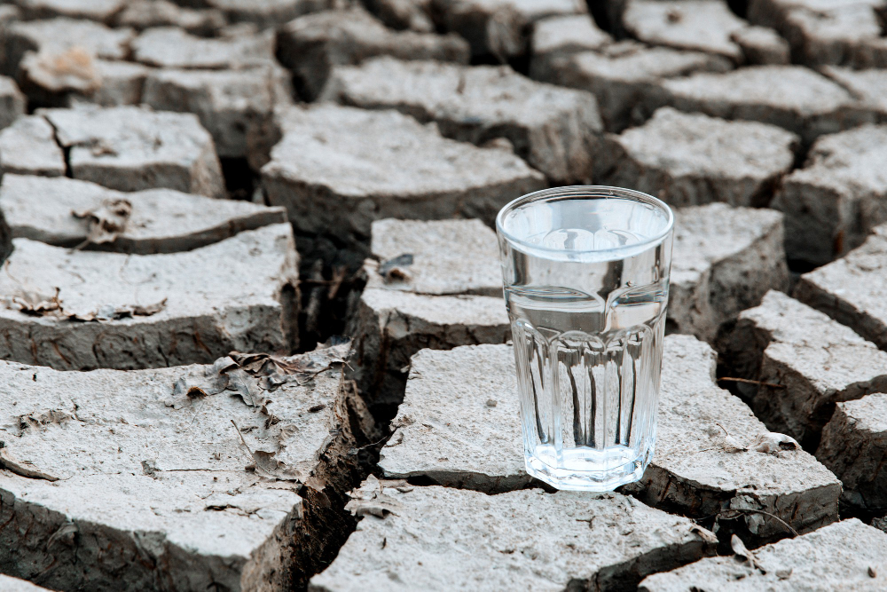 BBVA lanza segundo Reto Nacional de Sostenibilidad “Juntos por el agua”