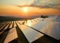 Puerto Peñasco ya genera 420 MW y va por 1,000 MW solares