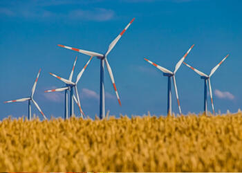 Sector eólico suma 400 MW con AMLO, 8% de lo esperado