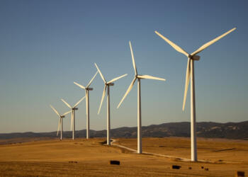 Ven oportunidad para impulso a renovables con Sheinbaum