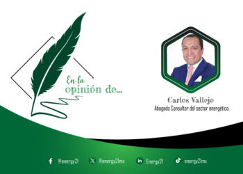 Entendiendo los autoconsumos, una actividad por demás controvertida