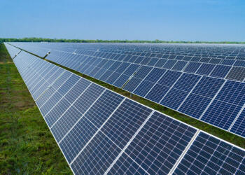 Industria solar crecerá en América Latina hasta 15% en 2025