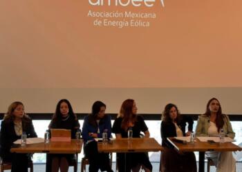 Ven potencial de 30 mil mdd en inversión eólica
