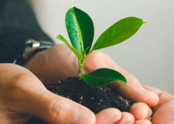 GRISI reduce en 30% las emisiones de gases contaminantes
