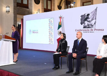 Leyes secundarias establecerán el rol de la IP en el mercado eléctrico