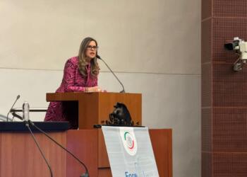 Biogás, combustible clave para la transición energética: ENGIE