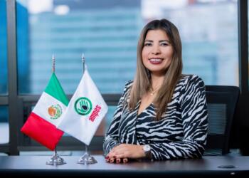 No importa quién regule, sino que el sector avance: AMPES