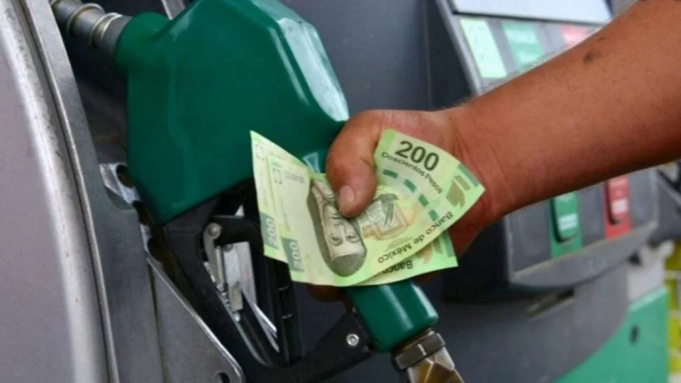 Advierten desabasto y alza de precio en combustibles sin CRE y CNH