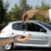 Crece 14.3% venta de autos ligeros en noviembre Crece 14.3% venta de autos ligeros en noviembre