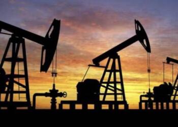 Crecen 6% recursos contingentes en 2024: CNH