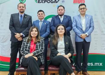 AMPES y sus expectativas sobre las leyes secundarias y la nueva CRE