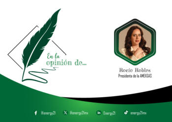 De la basura y la leña al gas LP