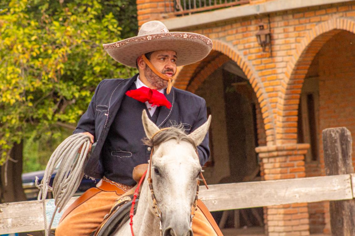 En la vida como en el caballo, sin miedo a caer: Roberto Díaz de León