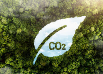 PEMEX avanza en la Evaluación Net Zero Company Benchmark 2024