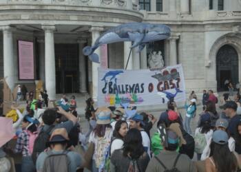 Uso de gas natural contradice política energética de Sheinbaum