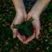 ADM celebra Día de la Tierra con acciones sustentables ADM celebra Día de la Tierra con acciones sustentables