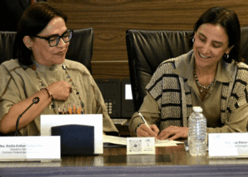 CFE celebra su primera sesión de consejo como empresa pública del Estado