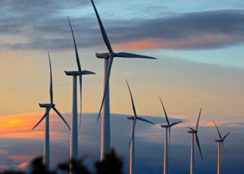 Urgen a SENER publicar nuevos requisito para CEL´s