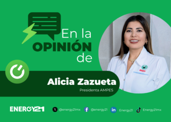 El Comité Técnico de la nueva Comisión Nacional de Energía (CNE)