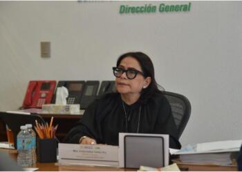 CFE elimina subsidiarias con nuevo estatuto orgánico