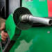 Tope de precios: ¿Vía para el monopolio de PEMEX en combustibles? Tope de precios: ¿Vía para el monopolio de PEMEX en combustibles?