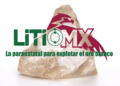 Publican manual de organización de Litio Para México Publican manual de organización de Litio Para México