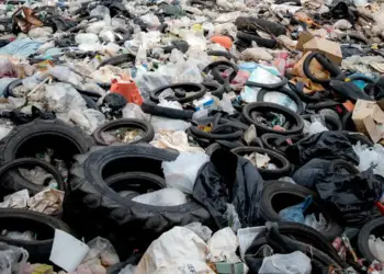 Propone Senado iniciativa de Economía Circular y Gestión de Residuos