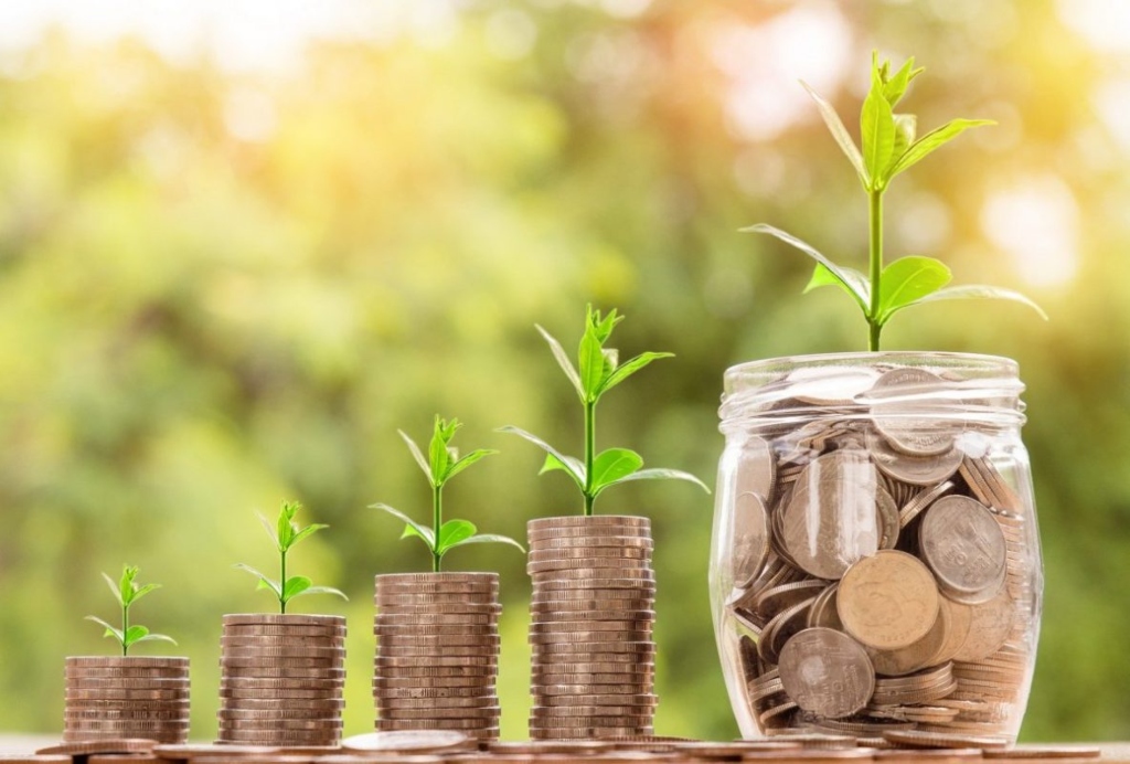 Créditos verdes impulsan sostenibilidad en las empresas