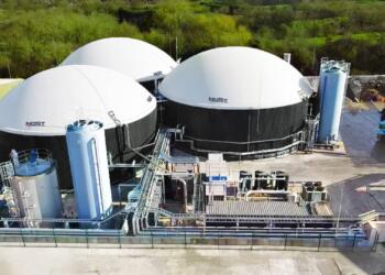 CNBiogás nombra a Guillermo Gómez como presidente