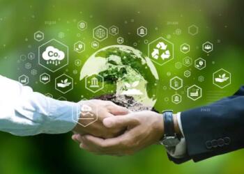 A jugar en la misma cancha a favor de la sostenibilidad: Valora Consultores