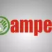 AMPES anuncia foro EXPOGAS en Monterrey