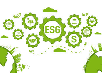 CFOs, pieza clave en la transición hacia la sostenibilidad: IMEF