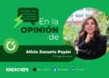 La CNE y los permisos gasolineros La CNE y los permisos gasolineros