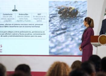 Prohíben 35 plaguicidas por riesgos a la salud y medio ambiente