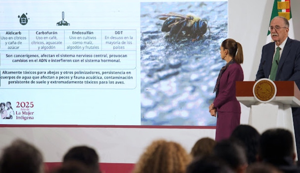 Prohíben 35 plaguicidas por riesgos a la salud y medio ambiente