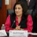 Beatriz Silvia Robles será la capitana de la Comisión de Energía en el Senado