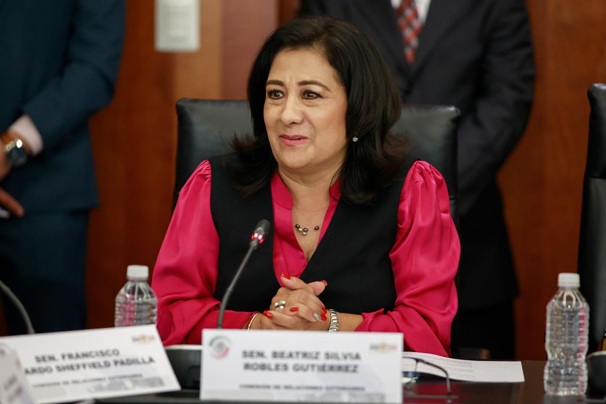 Beatriz Silvia Robles será la capitana de la Comisión de Energía en el Senado