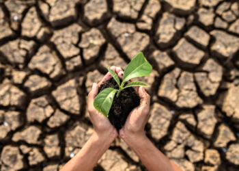 Organizaciones piden a Sheinbaum presentar NDC ambiciosa en la COP30