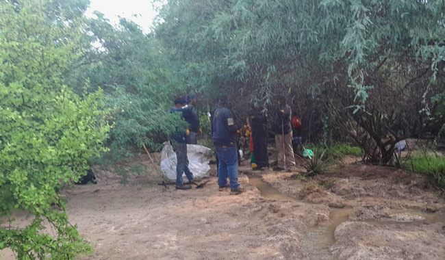 PROFEPA inspecciona instalaciones de la CFE en BCS