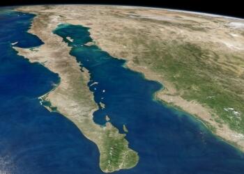 Piden a México frenar proyecto de gas fósil en Golfo de California