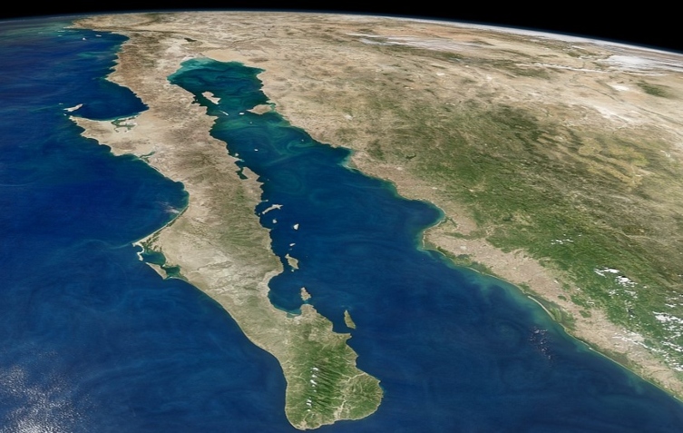 Piden a México frenar proyecto de gas fósil en Golfo de California